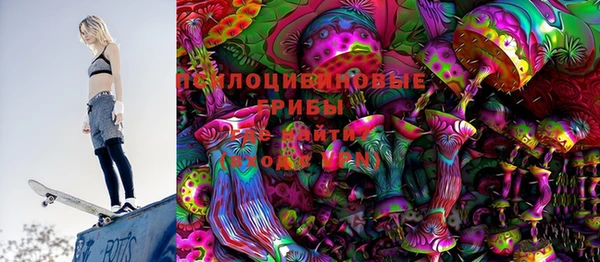 ГАЛЛЮЦИНОГЕННЫЕ ГРИБЫ Арсеньев