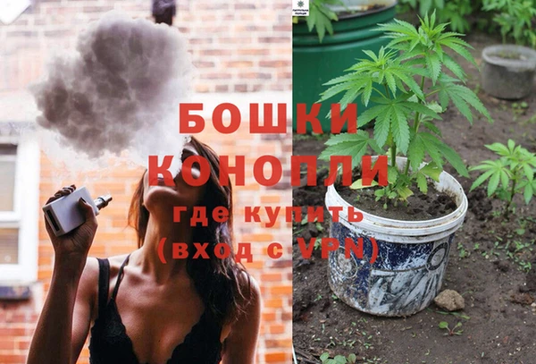 ГАЛЛЮЦИНОГЕННЫЕ ГРИБЫ Медвежьегорск