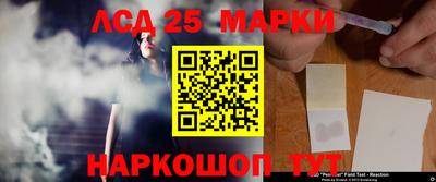 мет Кингисепп