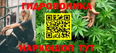 мет Кингисепп