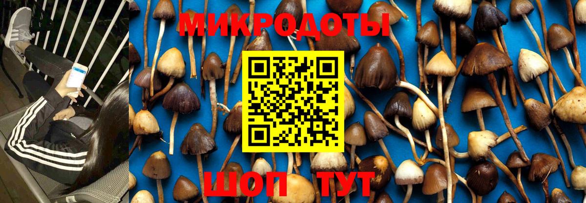 Галлюциногенные грибы MAGIC MUSHROOMS  Вход с VPN  Пермь  Псилоцибиновые грибы Magic Shrooms 